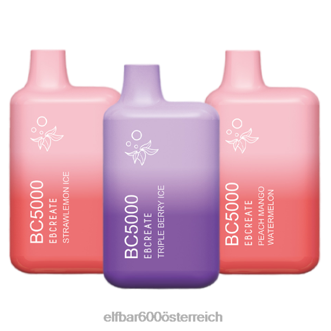 ELFBAR bc5000 Sampler-Pack für Verbraucher 2L2T234 - ELF BAR 600 preis