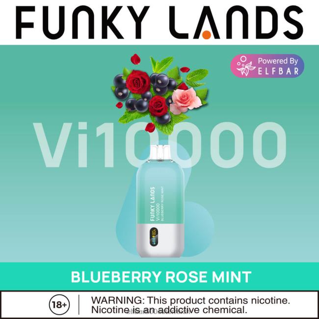 ELFBAR Funky Lands Einweg-Vape VI10000 Züge 2L2T465 - ELF BAR 5000 zuge kosten Blaubeer-Rosen-Minze