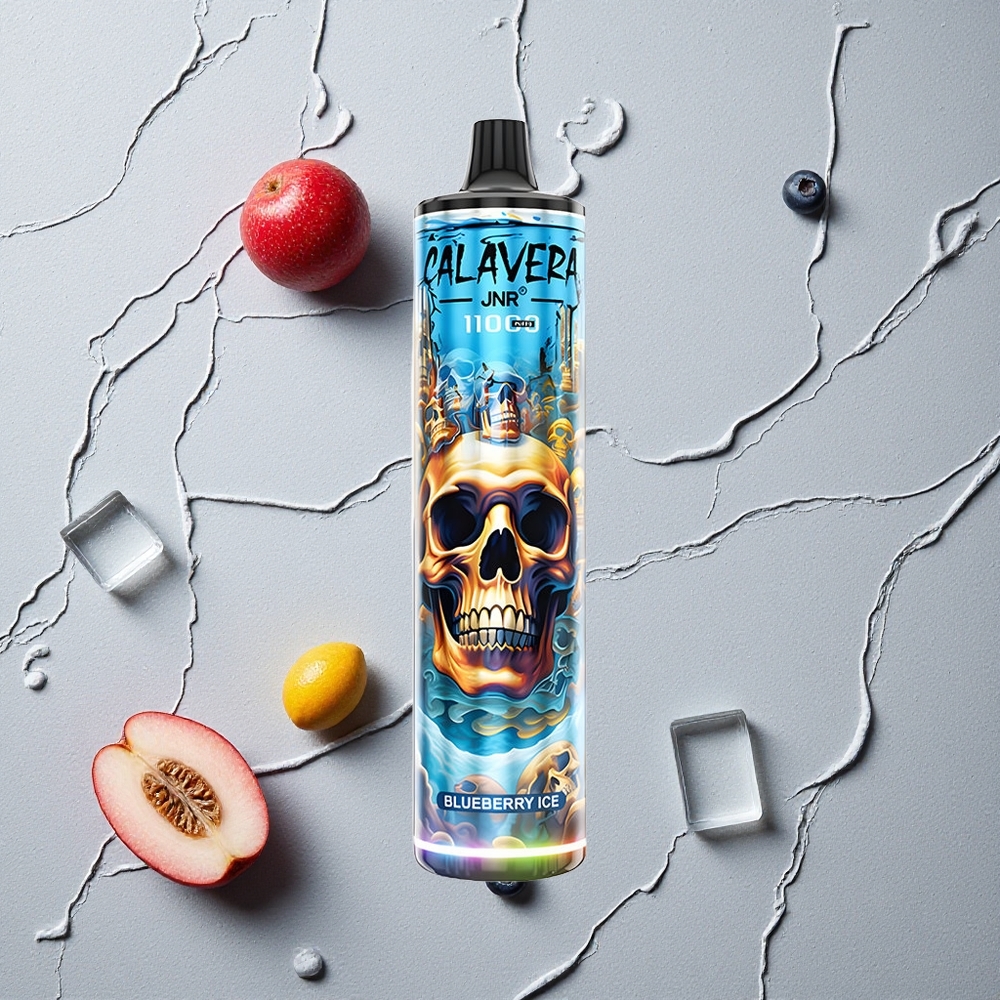 JNR Calavera 11000 Puffs Blaubeer-Eis vapes großhandel Österreich Typ-C-Ladeanschluss 21ml E-Liquid