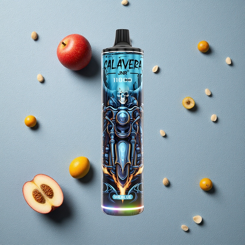 JNR Calavera 11000 Puffs Herr Blau vapes großhandel Österreich Typ-C Ladeanschluss 21ml E-Liquid