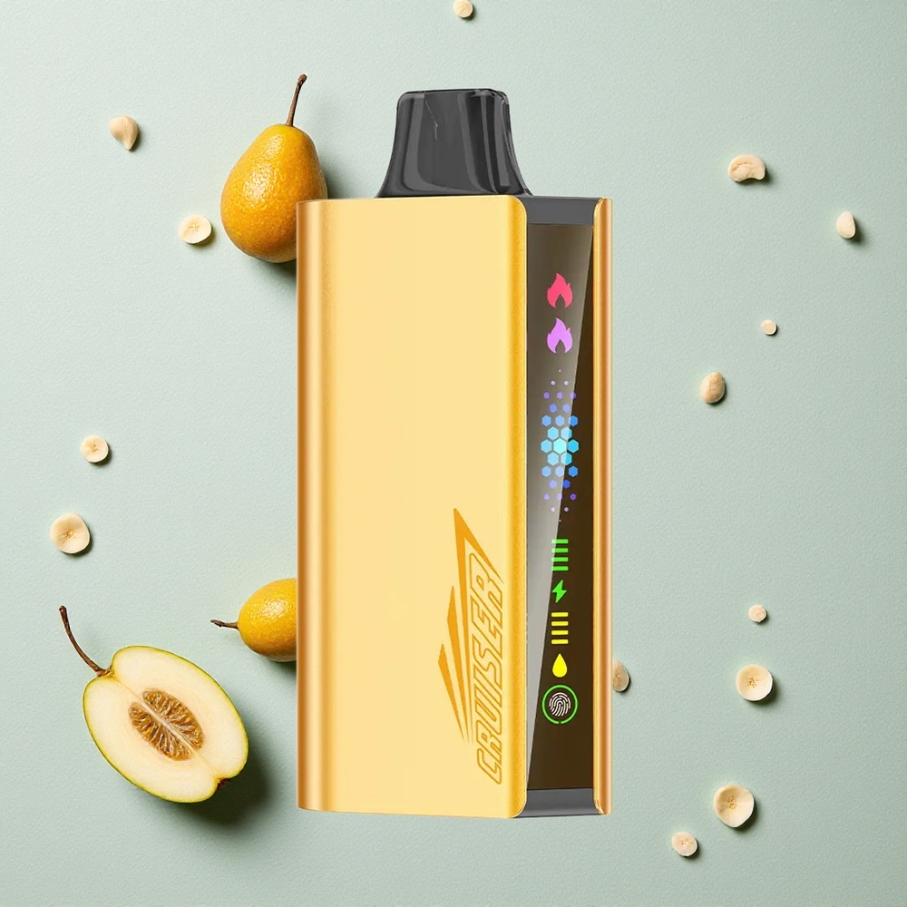 JNR Cruiser 12000 Puffs Cool Mint (Kühlminze) vapes großhandel Österreich mit 3500 mAh Akku