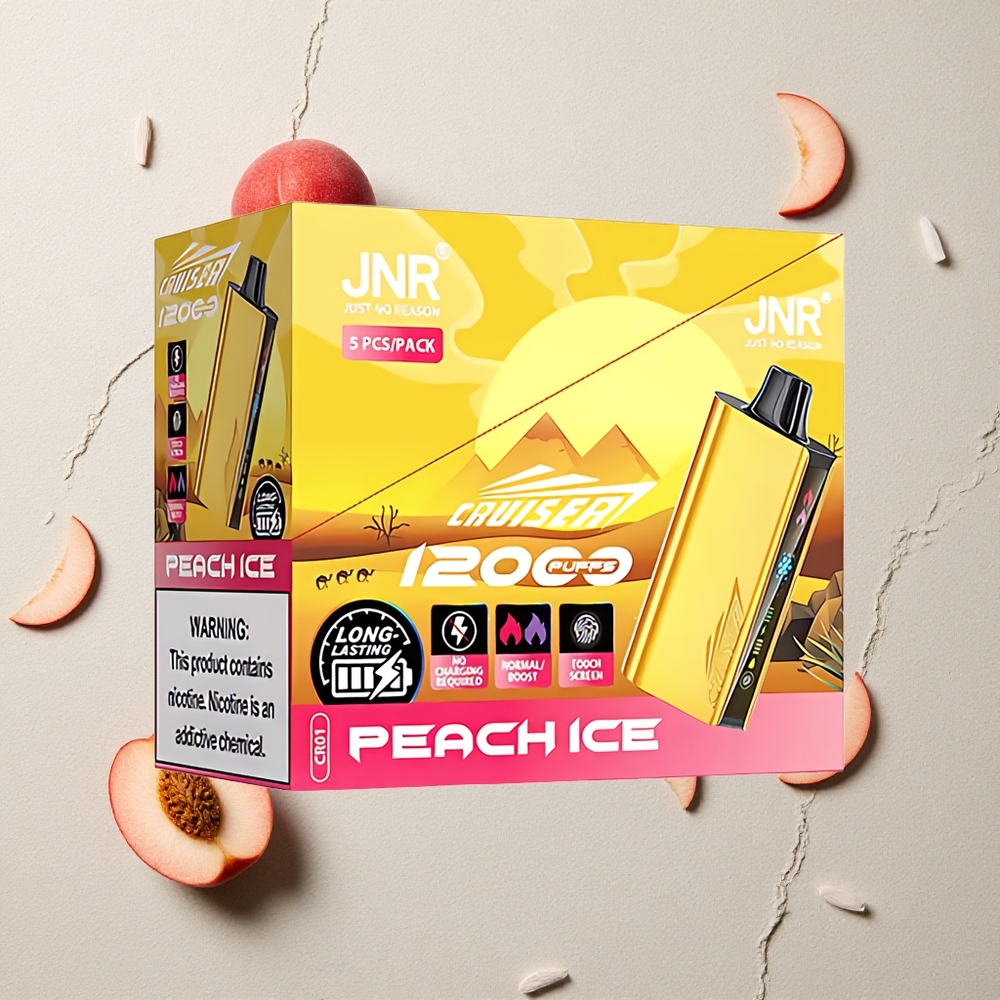 JNR Cruiser 12000 Puffs Pfirsich Eis vapes großhandel Österreich 3500 mAh Akku Dual Mesh Coil