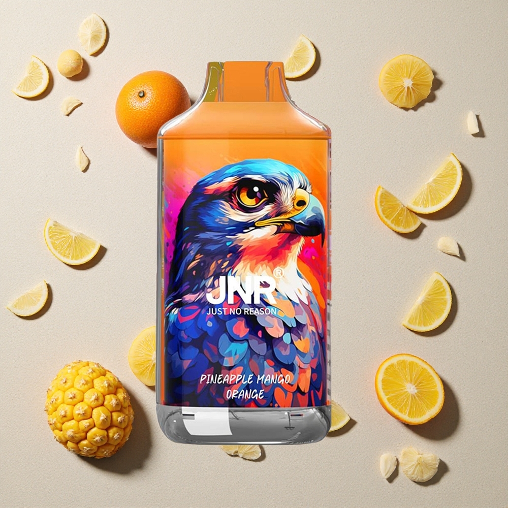 JNR Falcon 16000 Puffs Ananas Mango Orange vapes großhandel Österreich Dual Mesh Coil 22ml