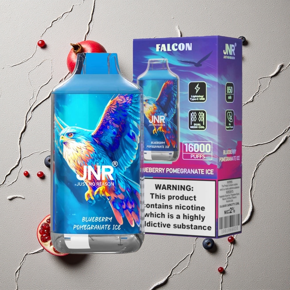 JNR Falcon 16000 Puffs Blaubeere Granatapfel Eis vapes großhandel Österreich Dual Mesh Coil 22ml