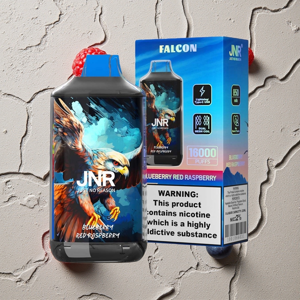 JNR Falcon 16000 Puffs Blaubeere-Himbeere vapes großhandel Österreich Dual Mesh Coil 22ml