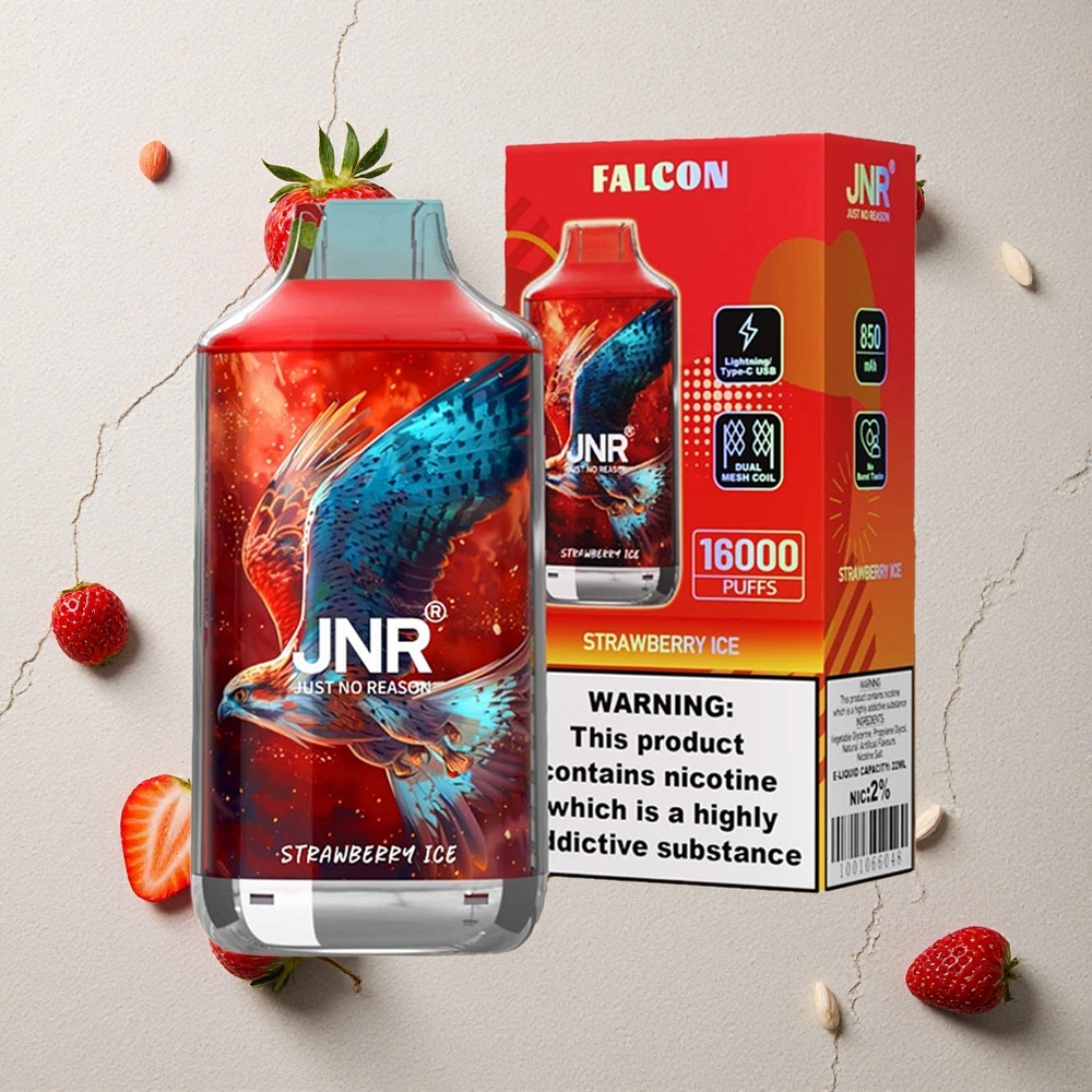 JNR Falcon 16000 Puffs Erdbeer-Eis vapes großhandel Österreich Dual Mesh Coil 22ml