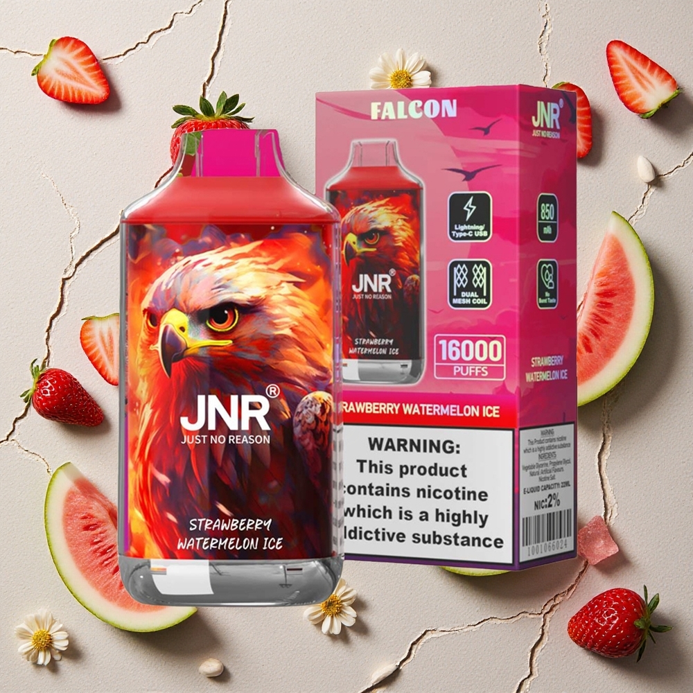 JNR Falcon 16000 Puffs Erdbeer Wassermelone Eis vapes großhandel Österreich Dual Mesh Coil 22ml