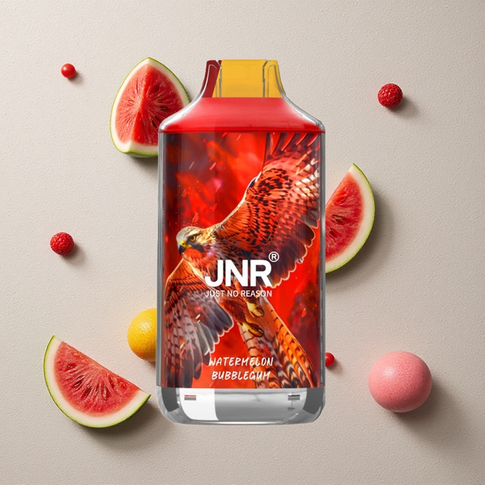 JNR Falcon 16000 Puffs Wassermelone Bubblegum vapes großhandel Österreich Dual Mesh Coil & 22ml