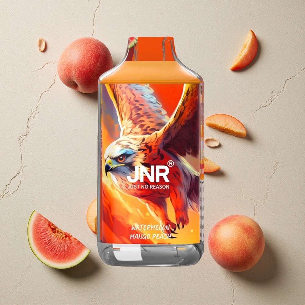 JNR Falcon 16000 Puffs Wassermelone Mango Pfirsich vapes großhandel Österreich Dual Mesh Coil 22ml
