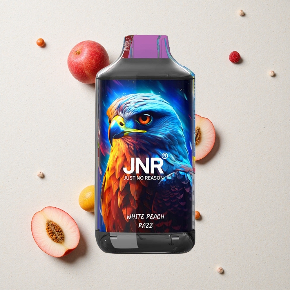 JNR Falcon 16000 Puffs Weißpfirsich-Himbeere vapes großhandel Österreich Dual Mesh Coil 22ml