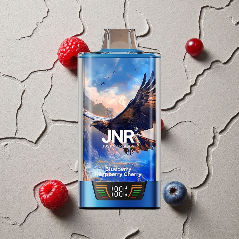 JNR Falcon Pro 28000 Blaubeere Himbeere Kirsche vapes großhandel Österreich USB-C Dual Mesh