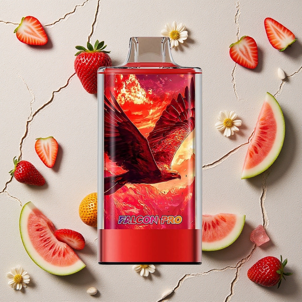 JNR Falcon Pro 28000 Erdbeer-Wassermelone-Eis Vapes Großhandel Österreich 30ml vorgefüllt USB-C
