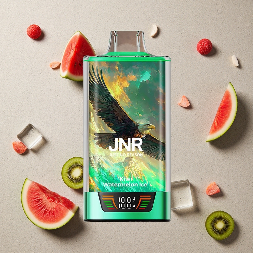 JNR Falcon Pro 28000 Kiwi Wassermelone Eis vapes großhandel Österreich Dual Mesh Coil USB-C