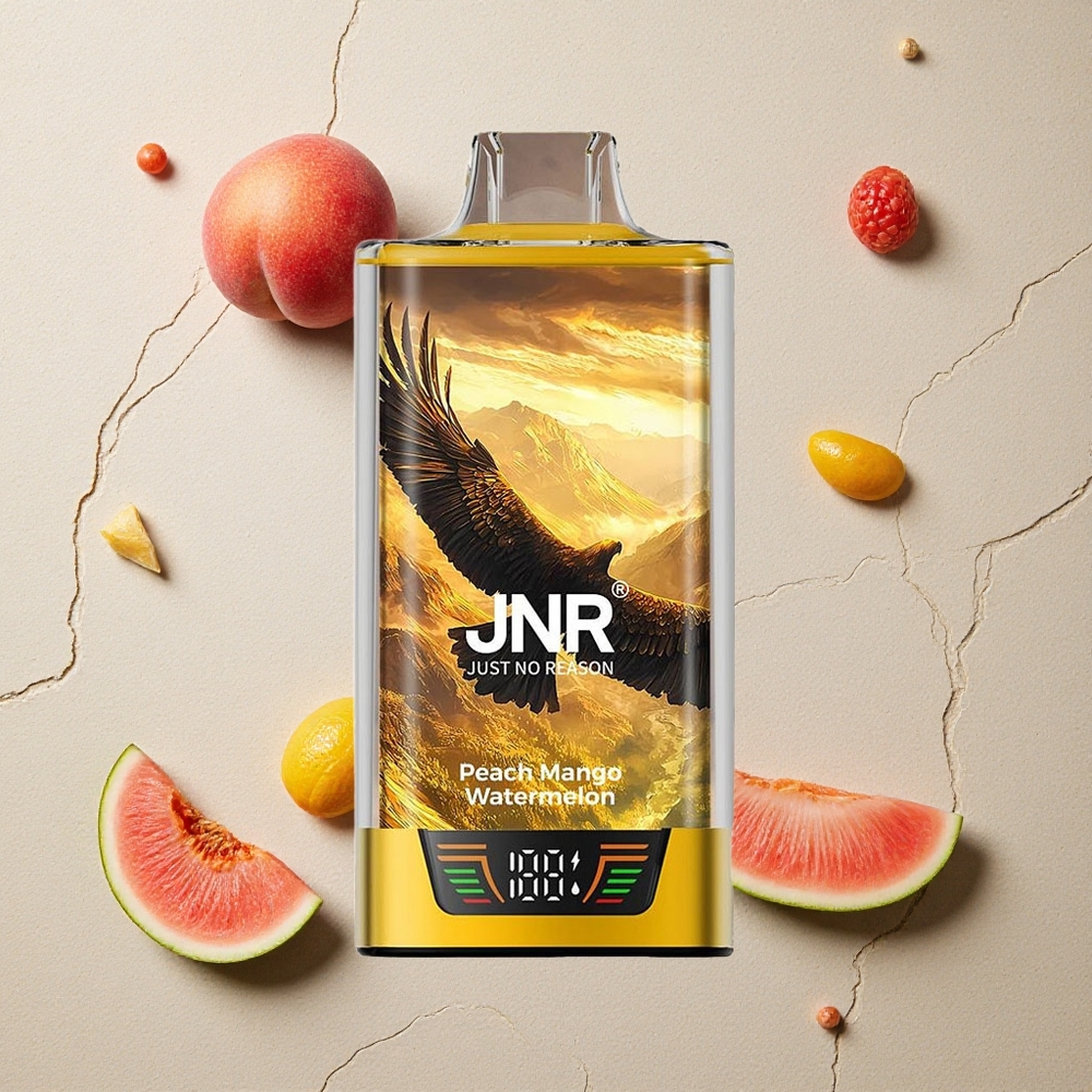 JNR Falcon Pro 28000 Pfirsich Mango Wassermelone vapes großhandel Österreich Dual Mesh Coil Smart Display