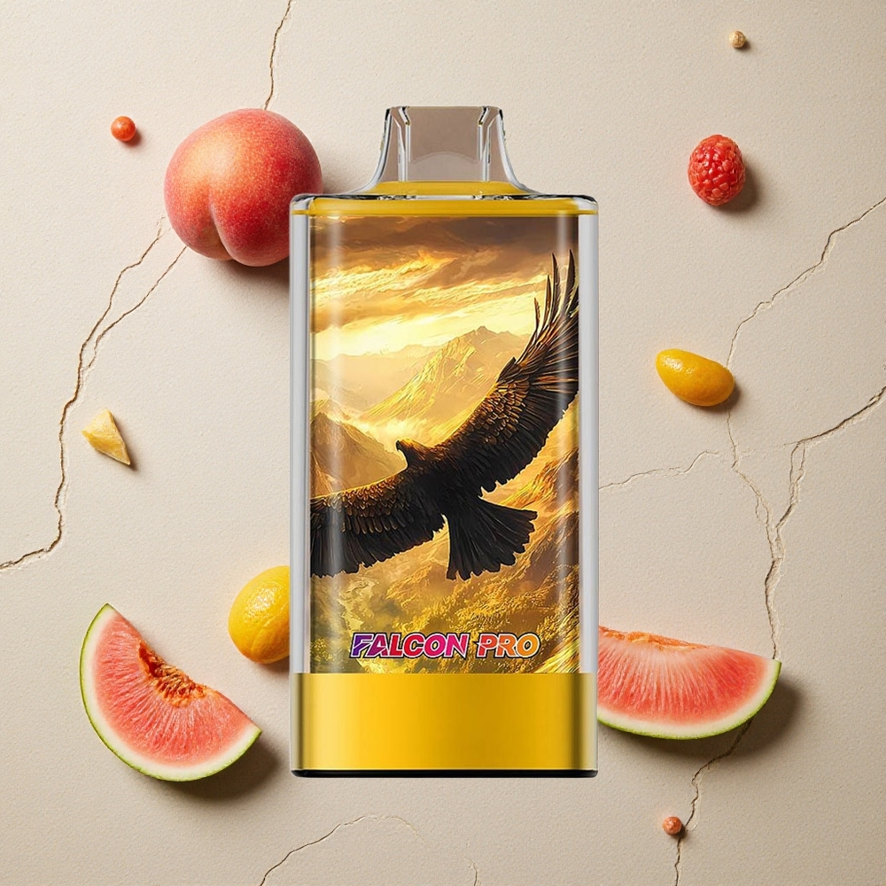 JNR Falcon Pro 28000 Pfirsich Mango Wassermelone vapes großhandel Österreich Dual Mesh Coil Smart Display