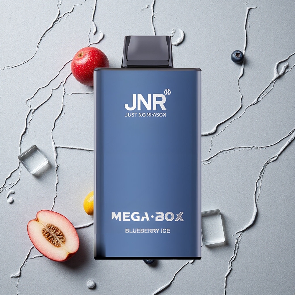JNR Mega Box 25000 Puffs Blaubeer-Eis vapes großhandel Österreich Dual Mesh Coil & Dual Core