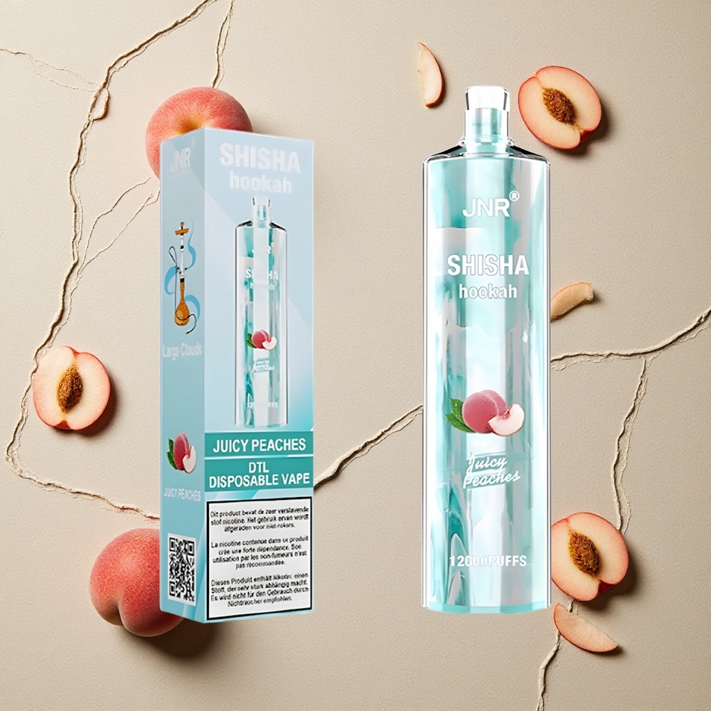 JNR Shisha Hookah 12000 Puffs Juicy Peaches (Saftige Pfirsiche) 24ml vapes großhandel Österreich 750mAh