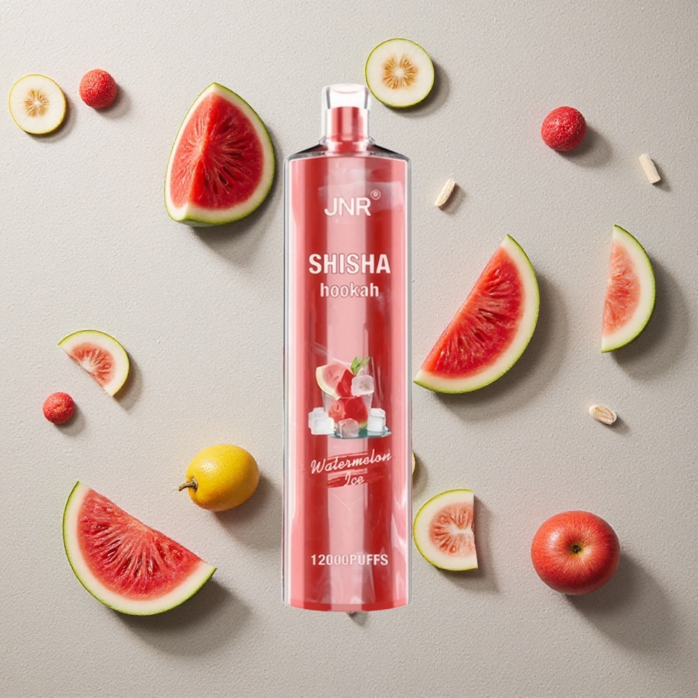 JNR Shisha Hookah 12000 Puffs Wassermelone-Eis vapes großhandel Österreich 24ml E-Liquid