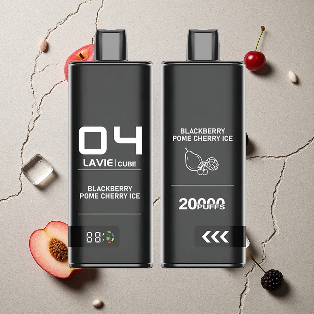 Lavie Cube 20000 Puffs Brombeere Granatapfel Eis vapes großhandel Österreich 28ML 600mAh