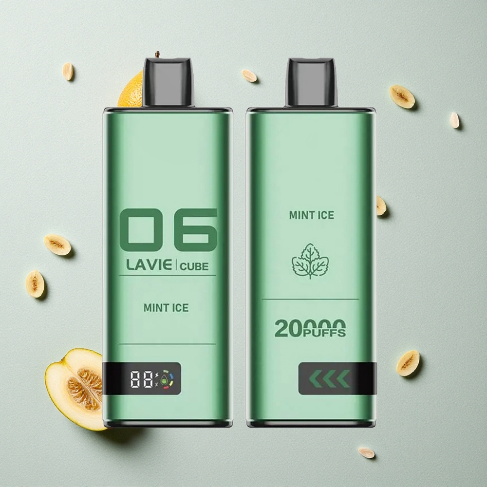 Lavie Cube 20000 Puffs Minze Eis Einweg-Vape vapes großhandel Österreich 28ML